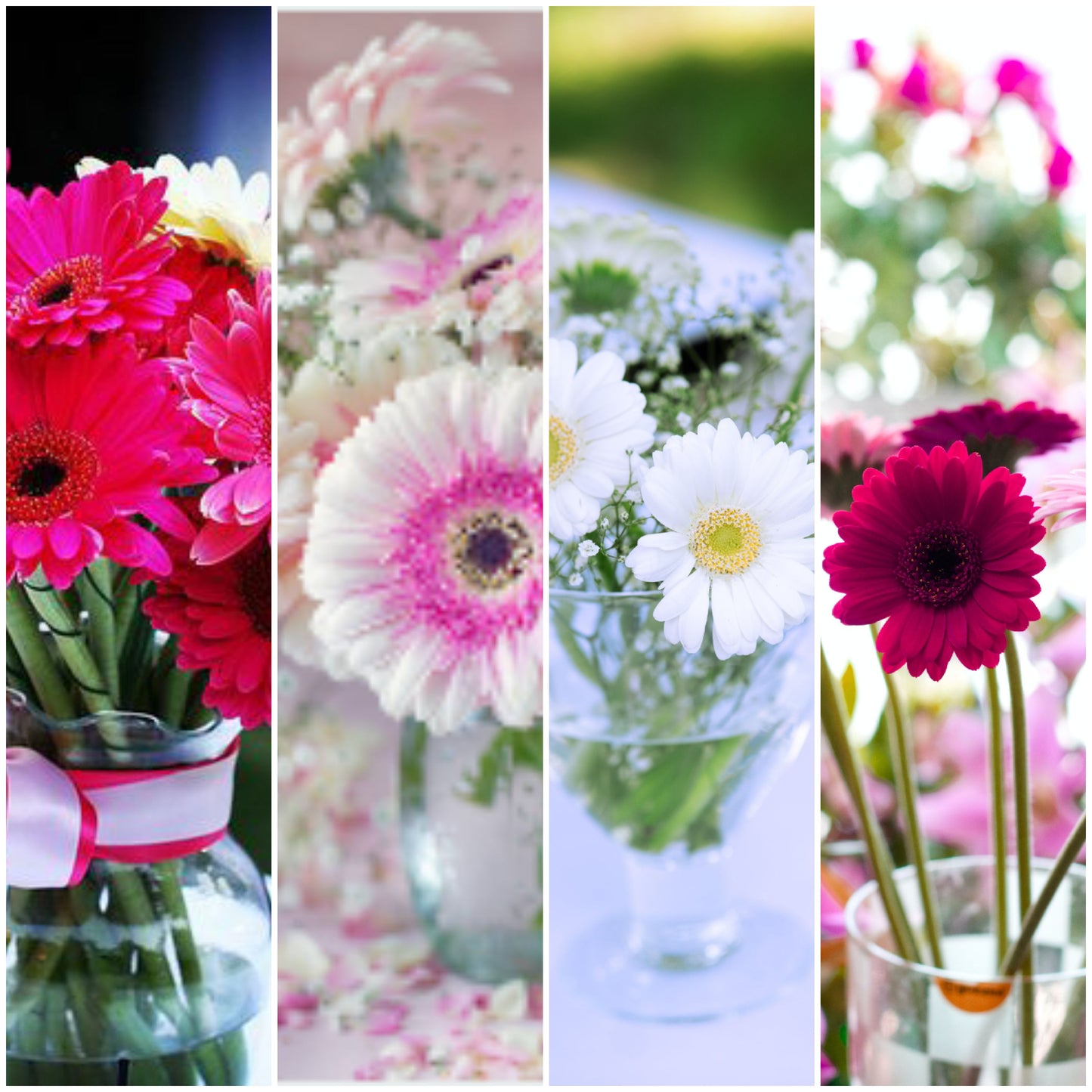 v012 GERBERA VASES starting at $55