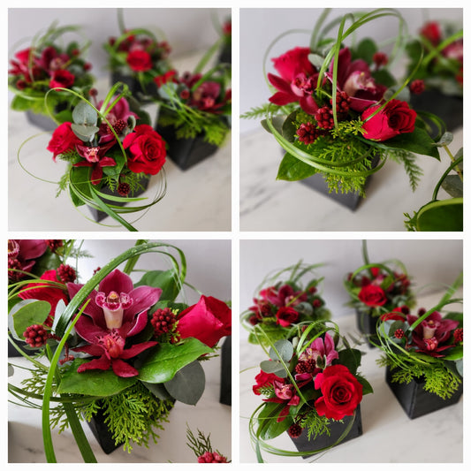 md019